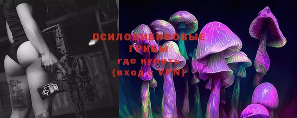 мескалин Белокуриха