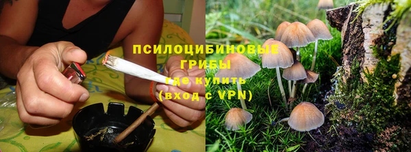 мескалин Белокуриха