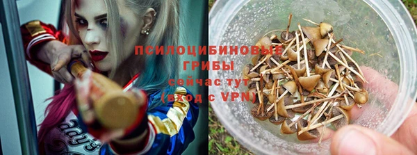 ПСИЛОЦИБИНОВЫЕ ГРИБЫ Белоозёрский