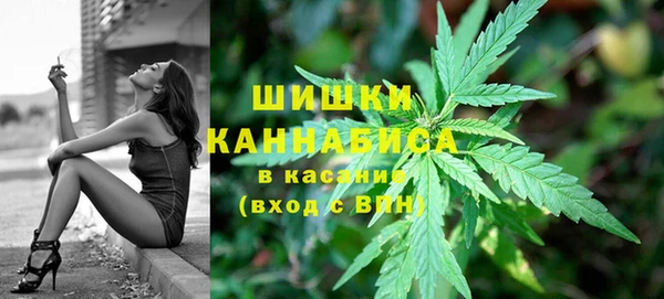 ПСИЛОЦИБИНОВЫЕ ГРИБЫ Белоозёрский