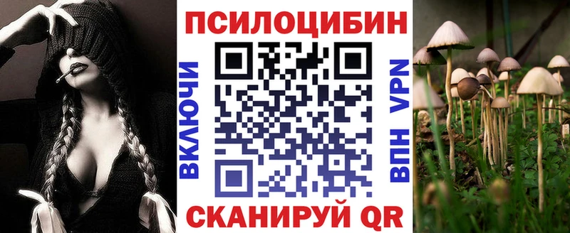 Галлюциногенные грибы мицелий  Соль-Илецк 
